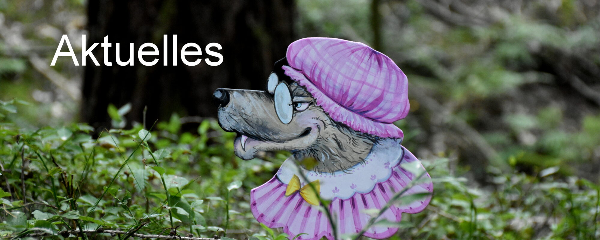 Biggi Hopp Aktuelles