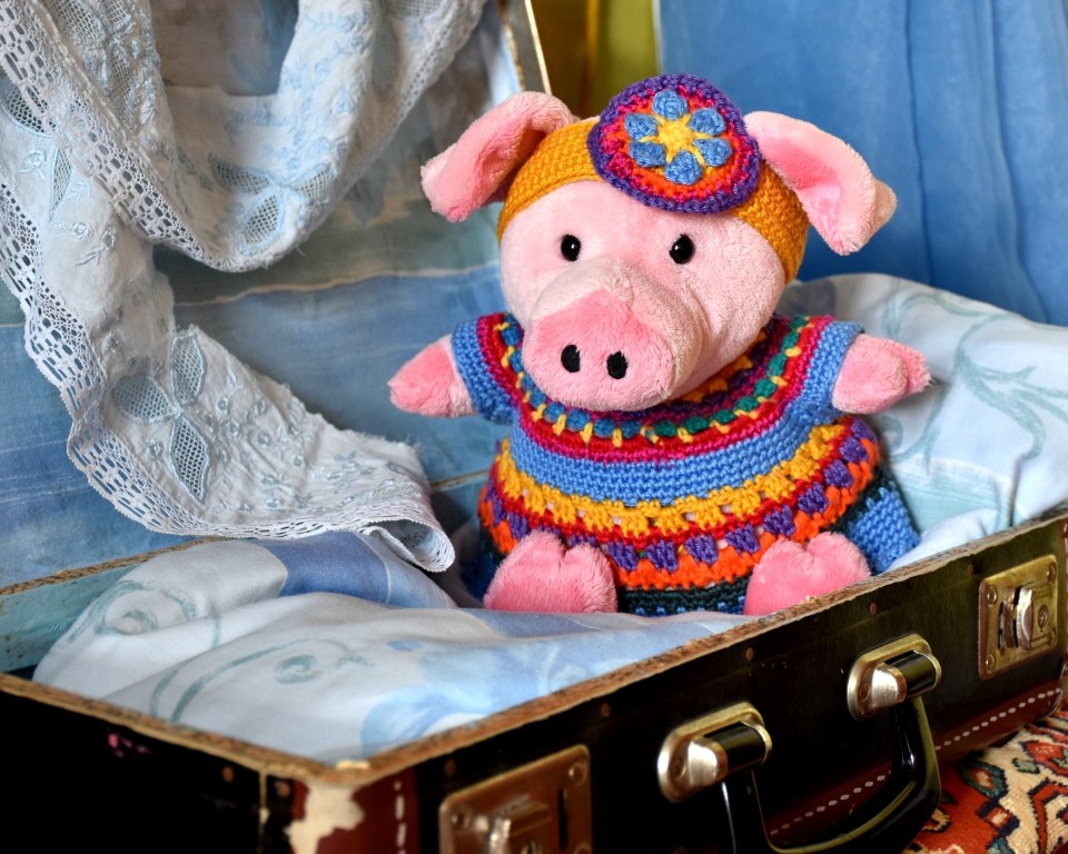 Schweinchen im Koffer