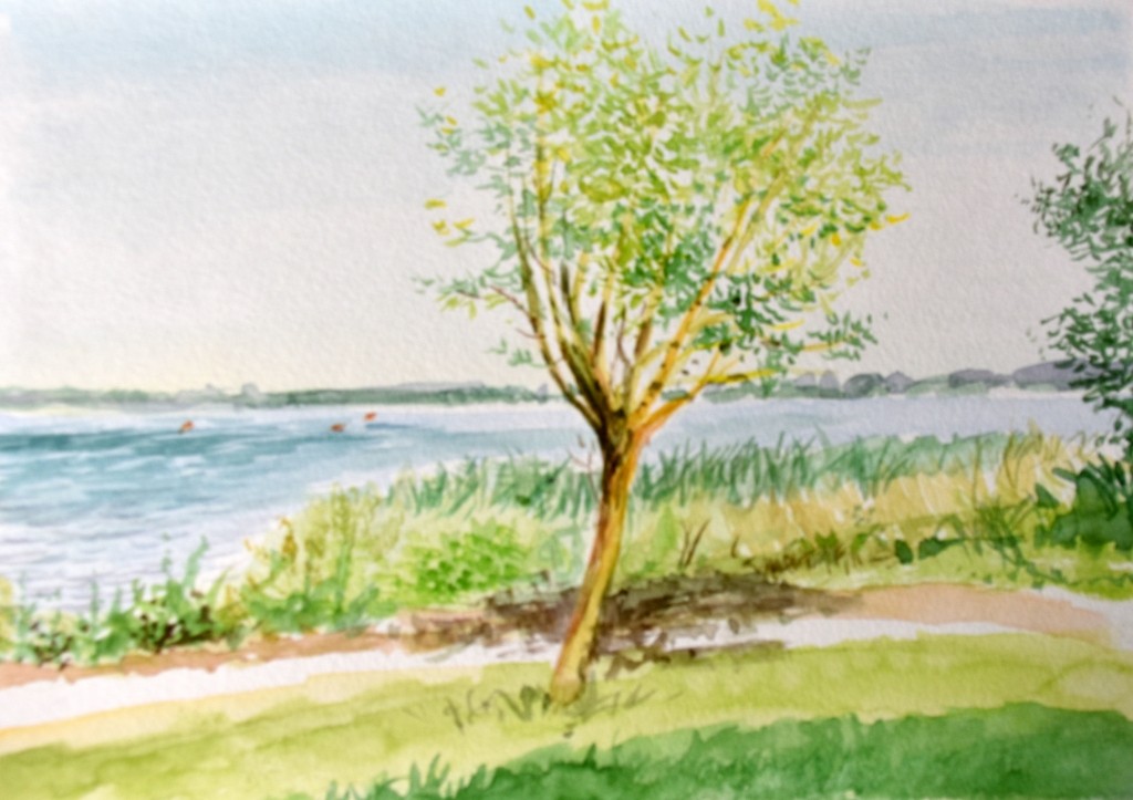 Kleines Bäumchen an der Ostsee in Hoben, Aquarell von Biggi Hopp aus dem Atelier in St. Egidien