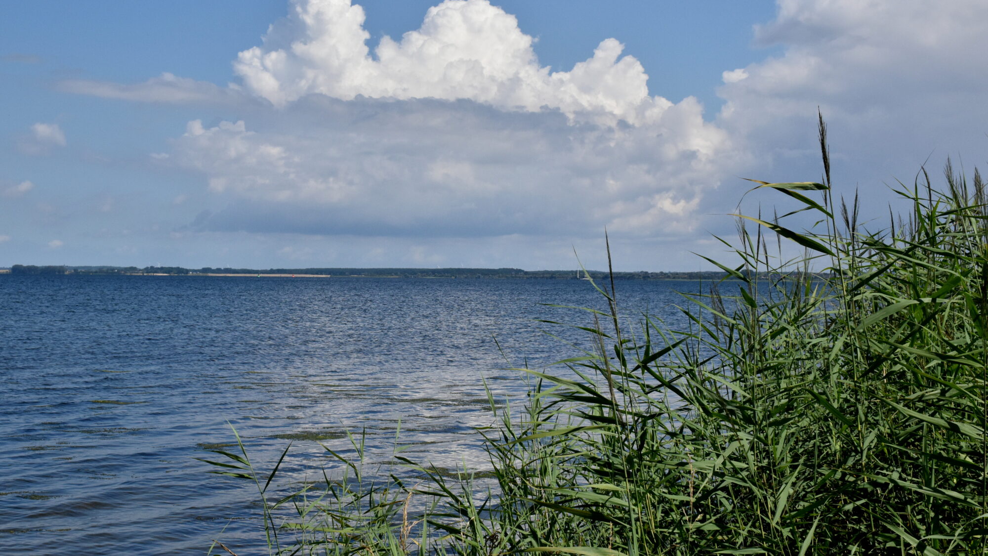 Künstlerin Biggi Hopp blickt mit einem befreiten Lächeln auf das klare Wasser mit Vorfreude auf die eigene Kunst in St. Egidien.