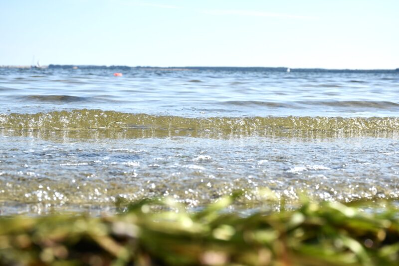Die Ostsee phantasievoll fotografiert von der Künstlerin Biggi Hopp zum Malen in ihrem Atelier in St.Egidien